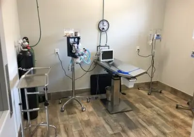 ultrasounds