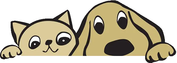 cat and dog