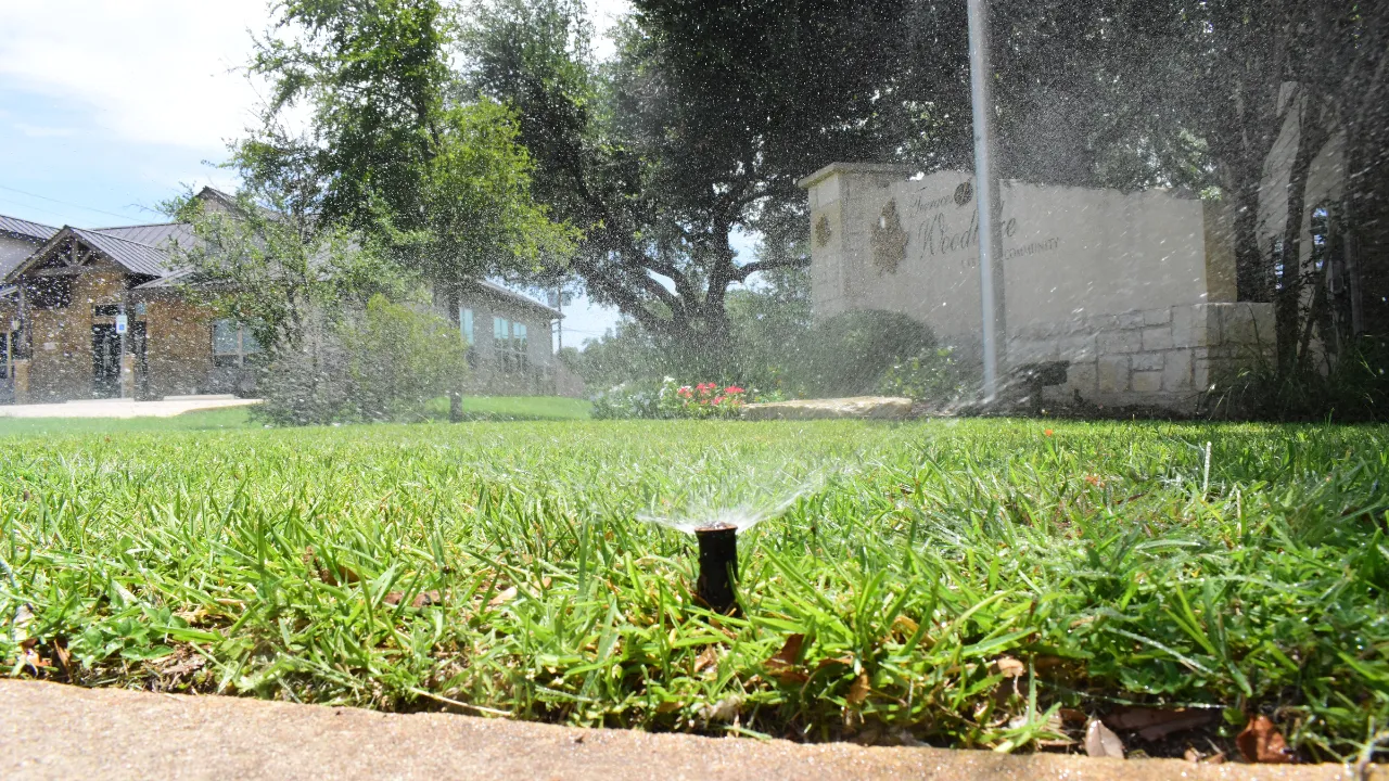 Spray irrigation head watering green grass in front of flagpole