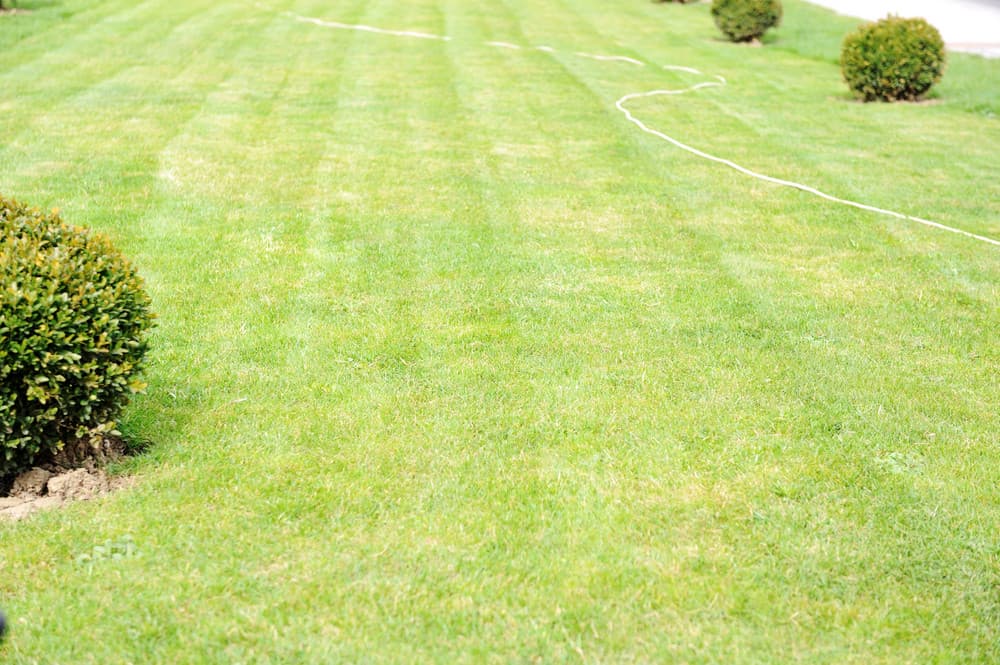 fence installation