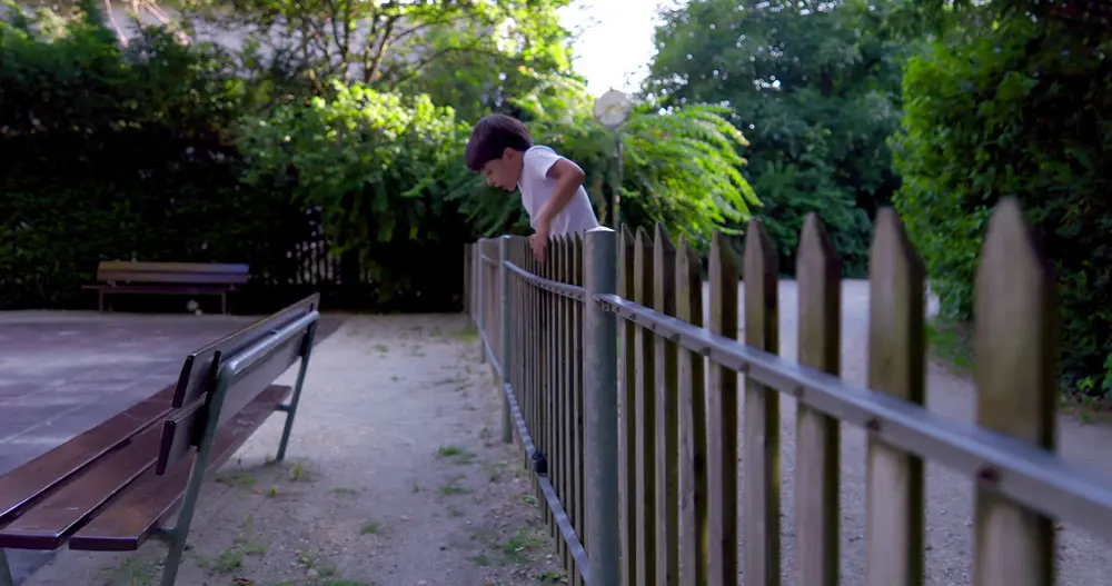 fence installation