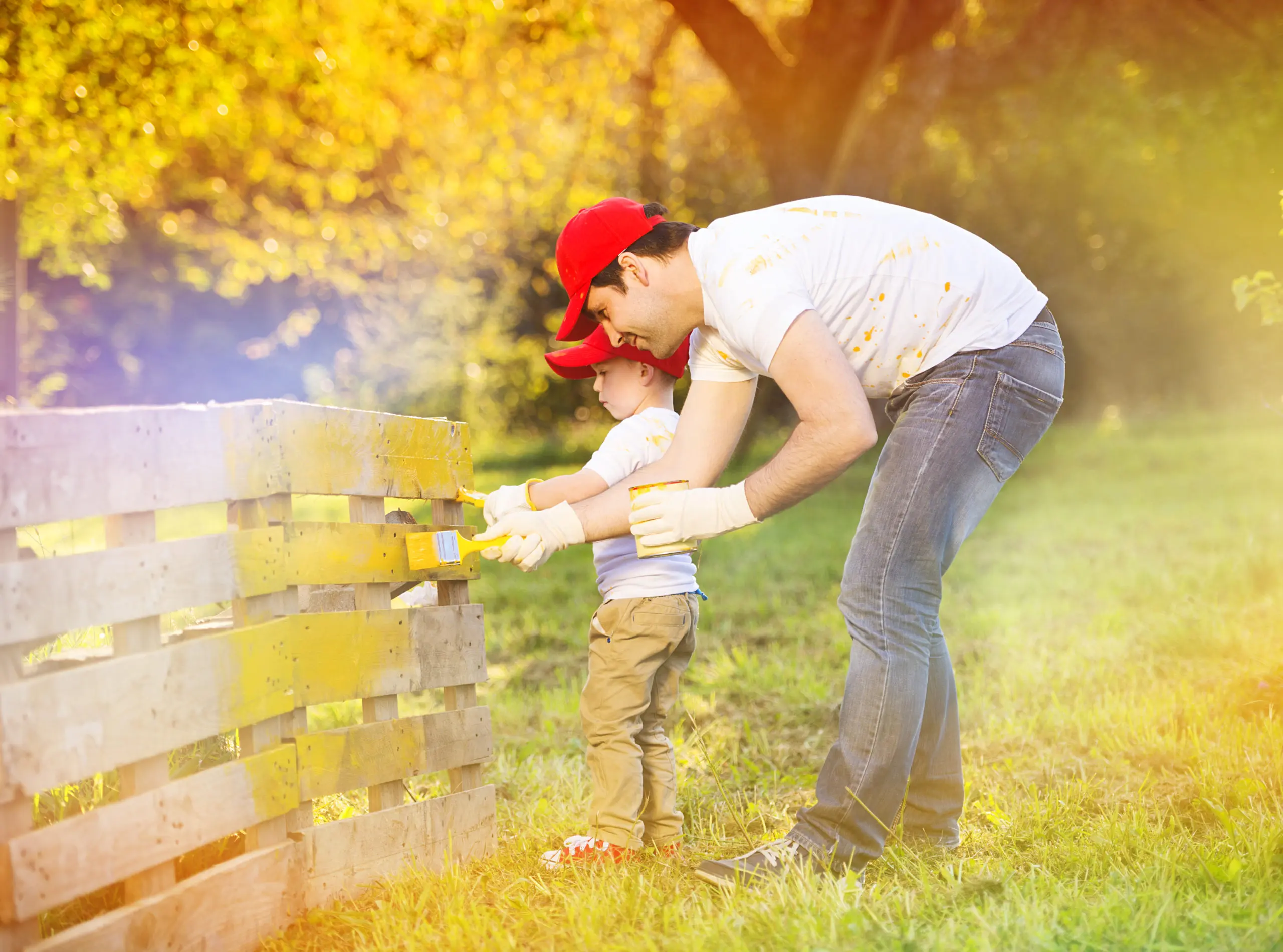 Fence Contractor