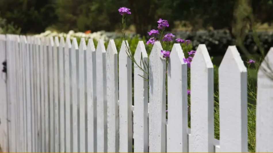 fence installation
