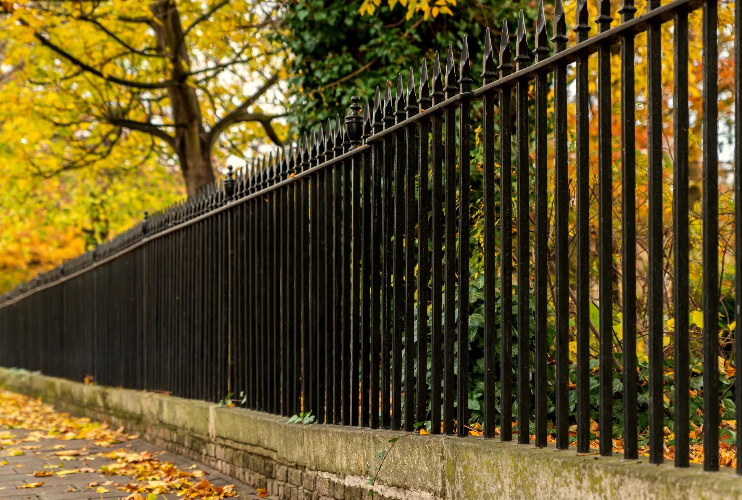 Aluminum Fence