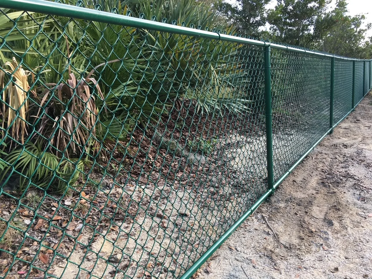 Chain Link Fence