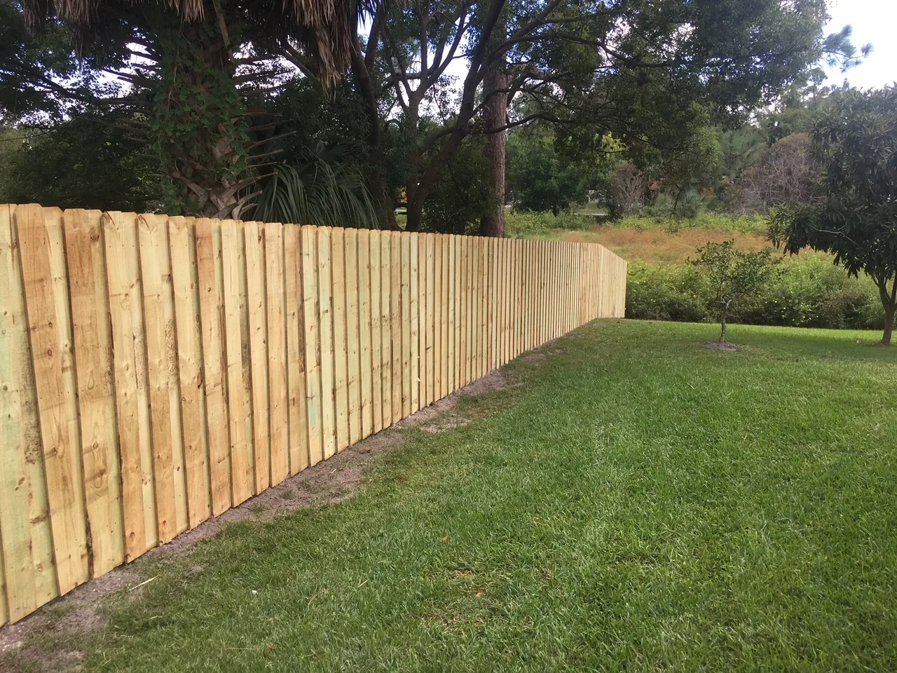 Wood Fence