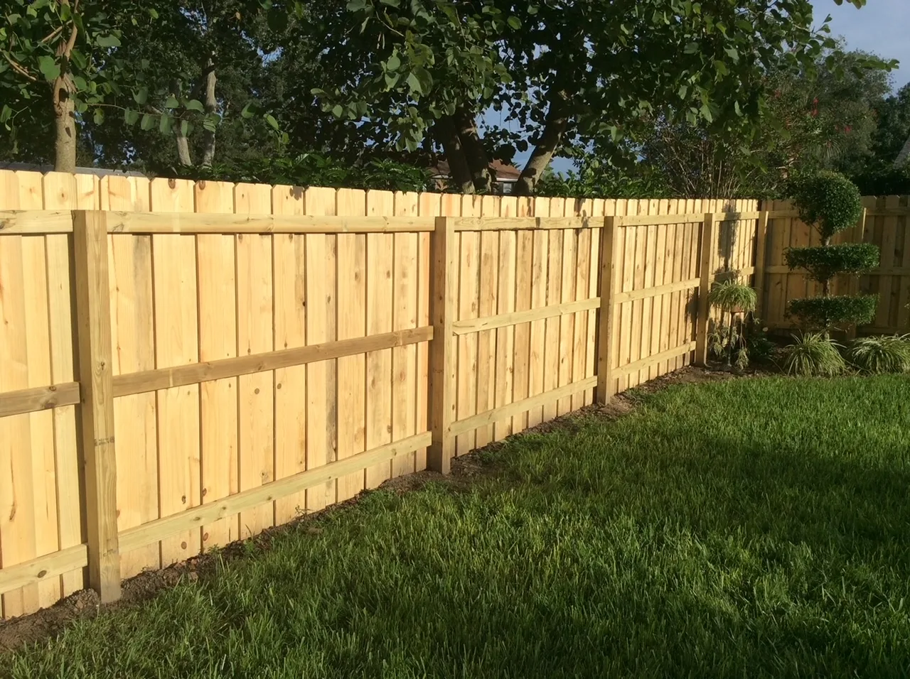 Wood Fence