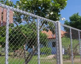 Chain Link Fence