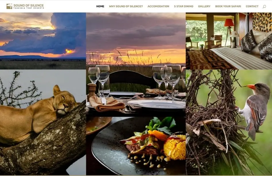 Serengeti Sounds of Silence