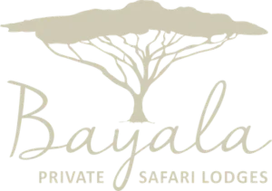 Bayala