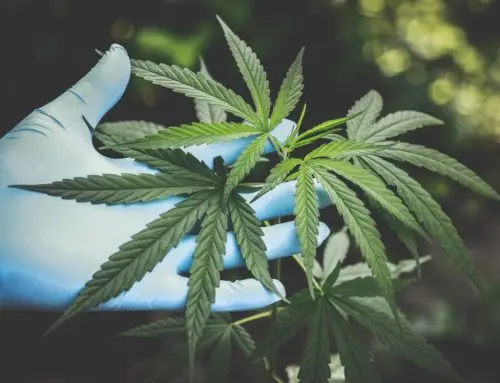 Expert Drug Offense Lawyers in McKees Rocks: Your Legal Defense