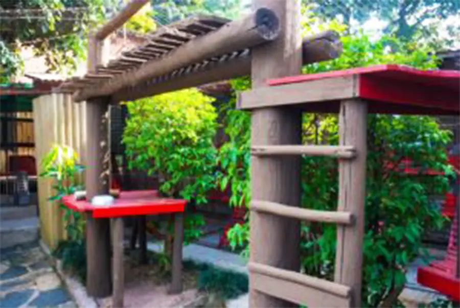 cat dog playground