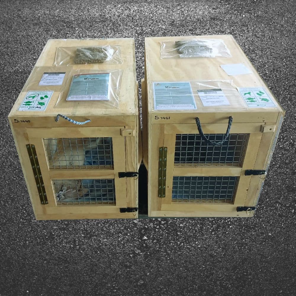 crates