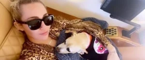 miley-cyrus-jokes-her-dog-owns-her-private-jet-she-just-flies-in-it-171291-7.jpg