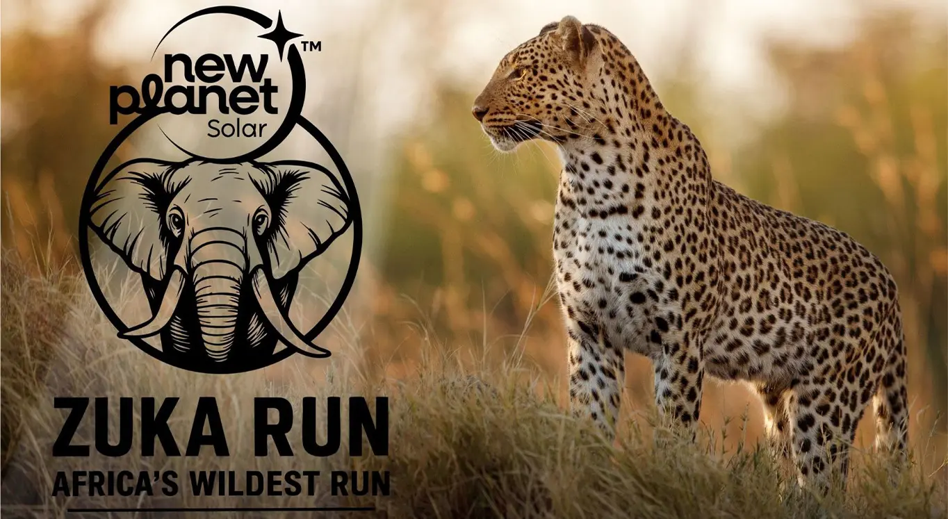 ZUKA-RUN 2025