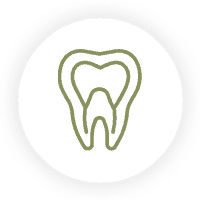 Root Canals