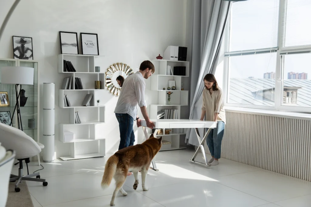 couple carrying a table while dog walks around