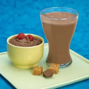 New Direction Chocolate Salted Caramel Pudding/Shake
