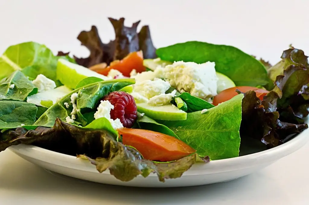 weight loss diet