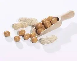 Peanut and Caramel Soy Snack