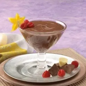 New Direction Chocolate Pudding/Shake