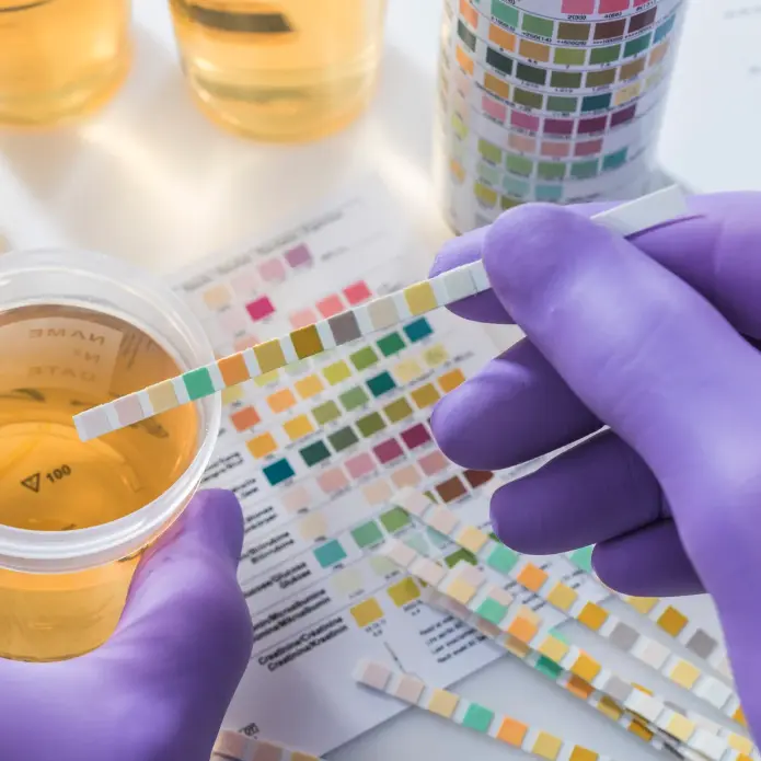 drug testing, occupational medicine