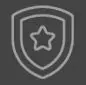 Safety, Security & Protection Badge
