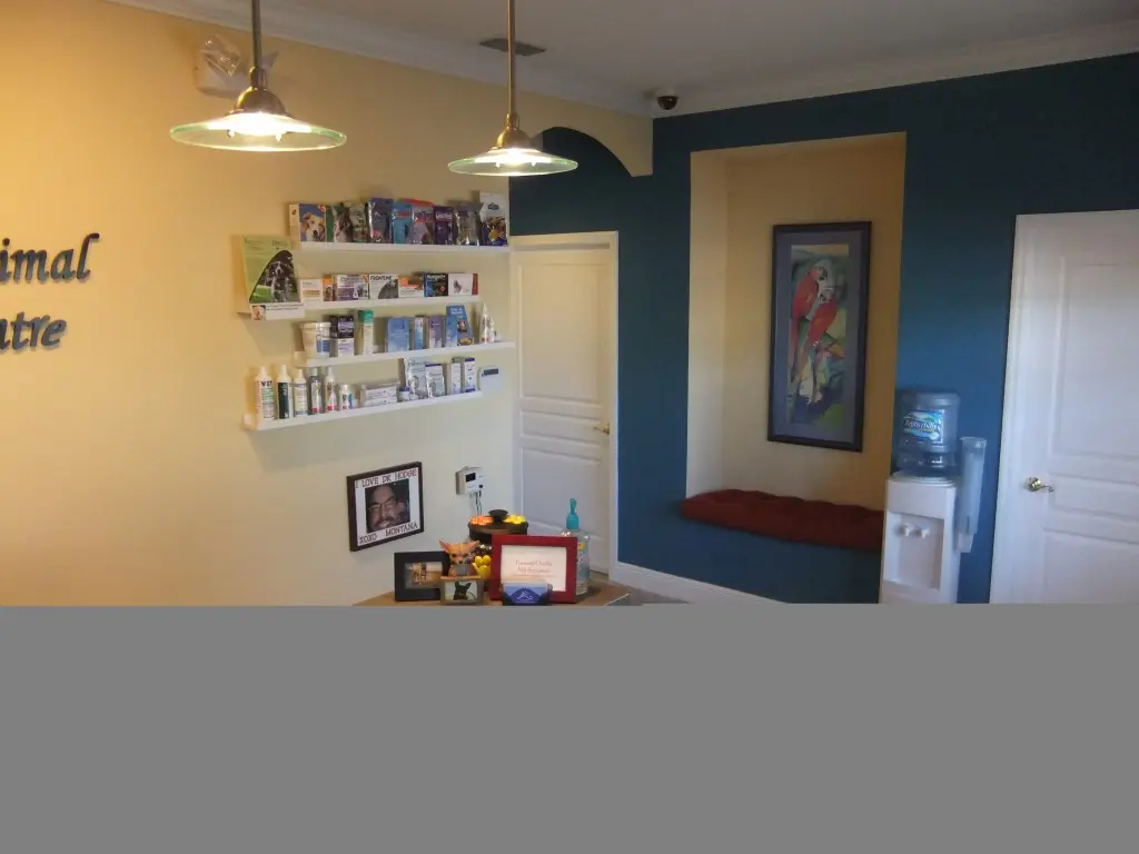Interior view of a veterinary office with product shelves, framed artwork, and a small seating area.