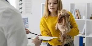 Woman holding a small dog while reviewing dietary plans on a clipboard with a veterinarian during pet nutritional counseling.