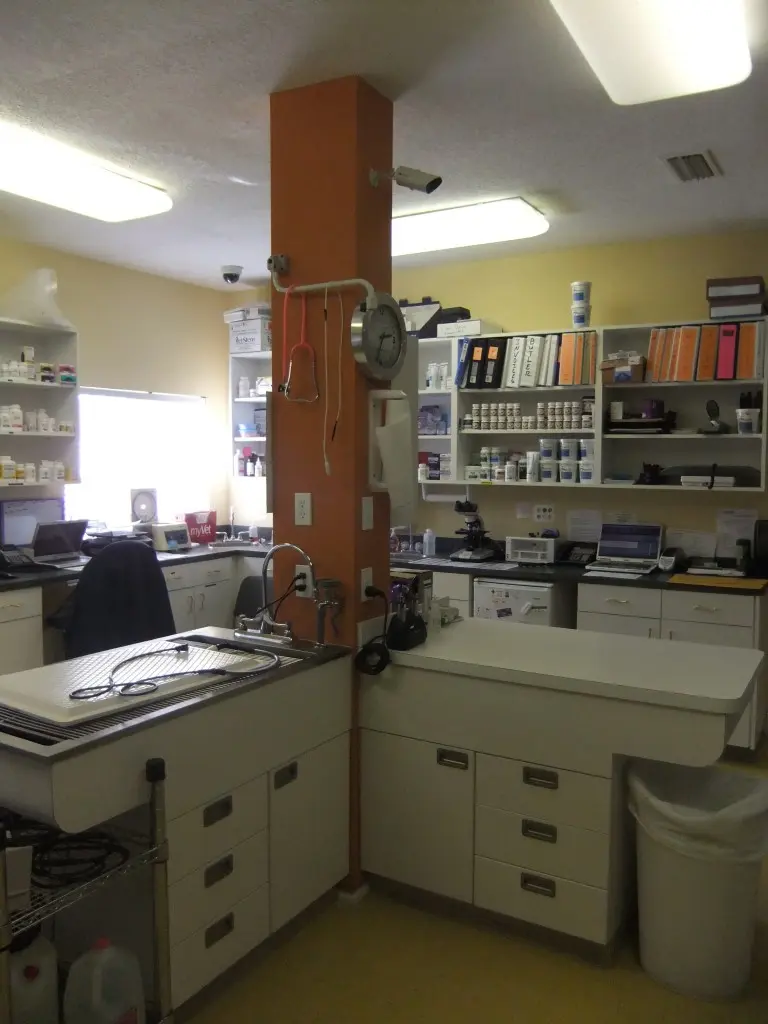 A veterinary work area with treatment counters, supply shelving, and a rust-colored support column is featured in the Cross Creek Animal Medical Centre virtual tour.