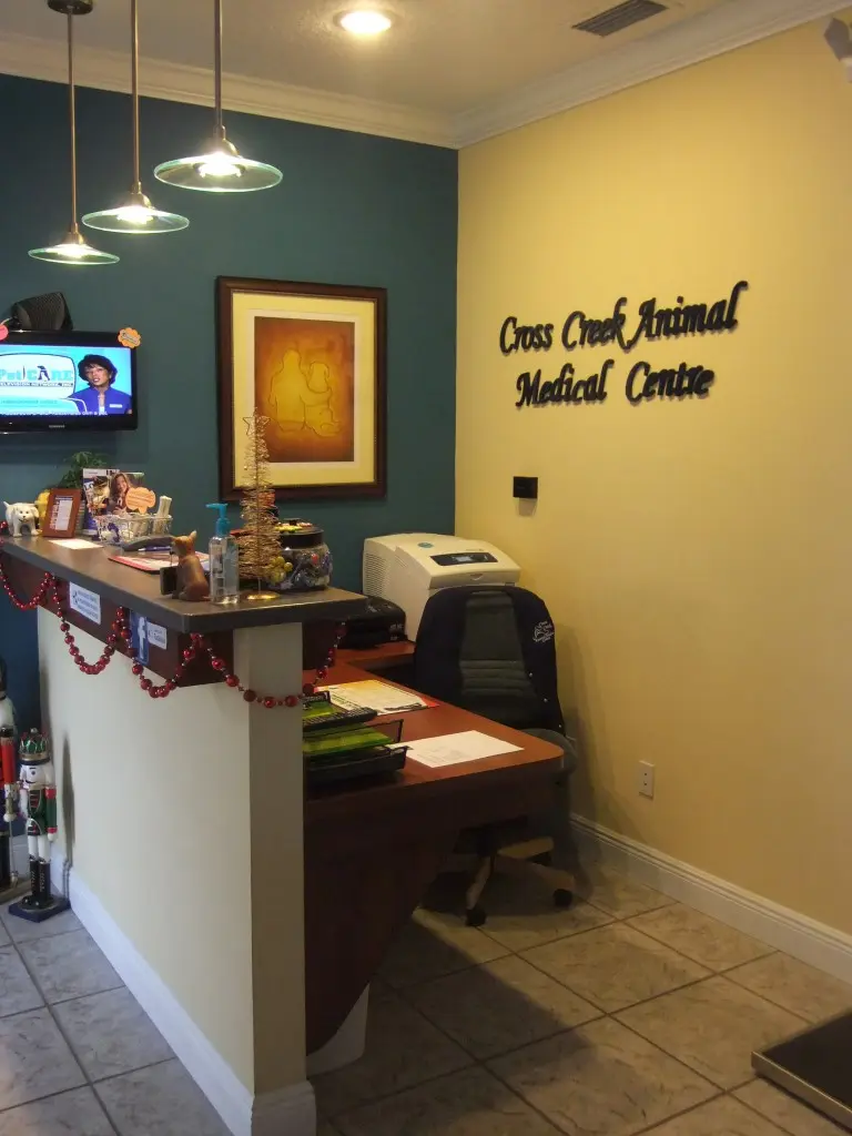 The reception desk area features dark wood accents, holiday garland, and the Cross Creek Animal Medical Centre name on the wall.