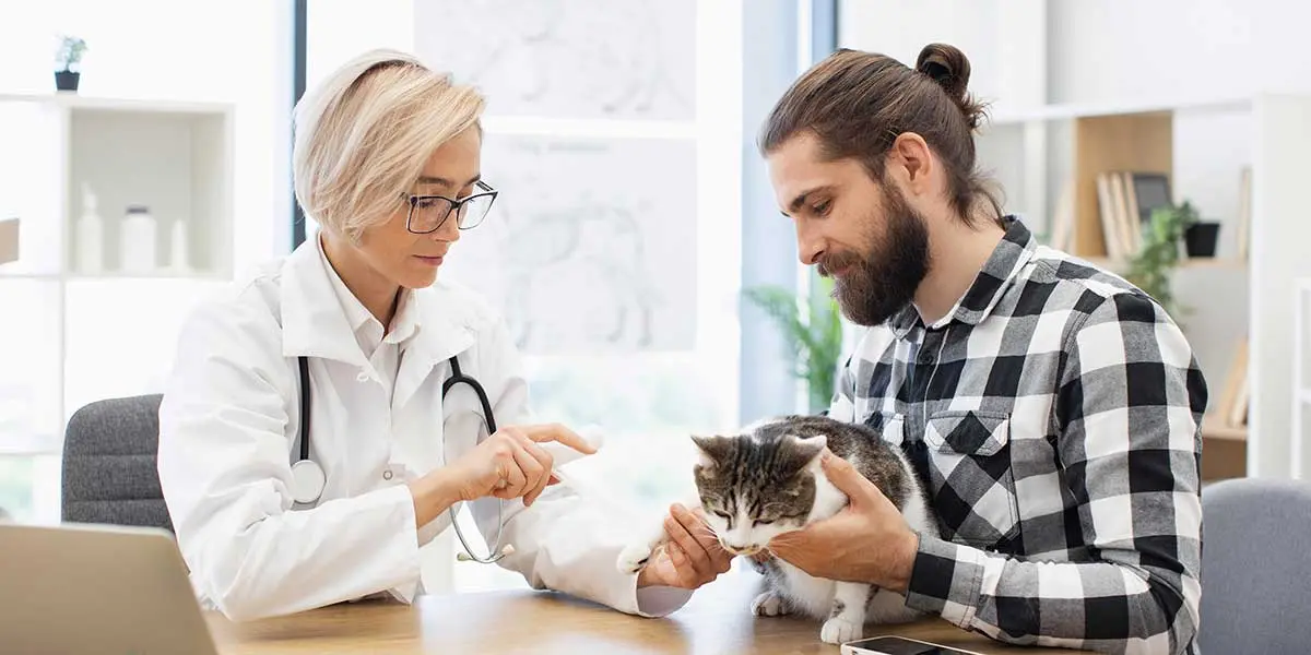 Veterinarian examining a cat held by its owner, highlighting options for urgent pet care versus emergency veterinary clinic visits.