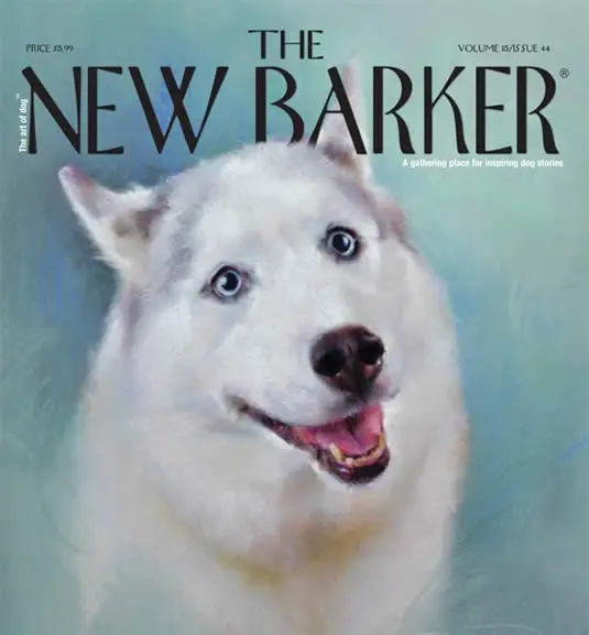 The New Barker magazine cover represents the publication featuring veterinary content from Cross Creek Animal Medical Centre.
