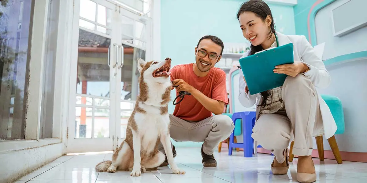 when should i take my dog to the vet