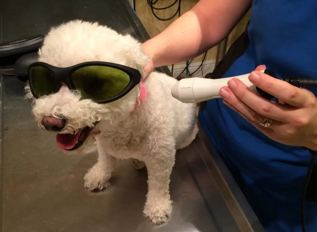 laser therapy