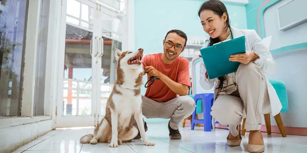 when should i take my dog to the vet
