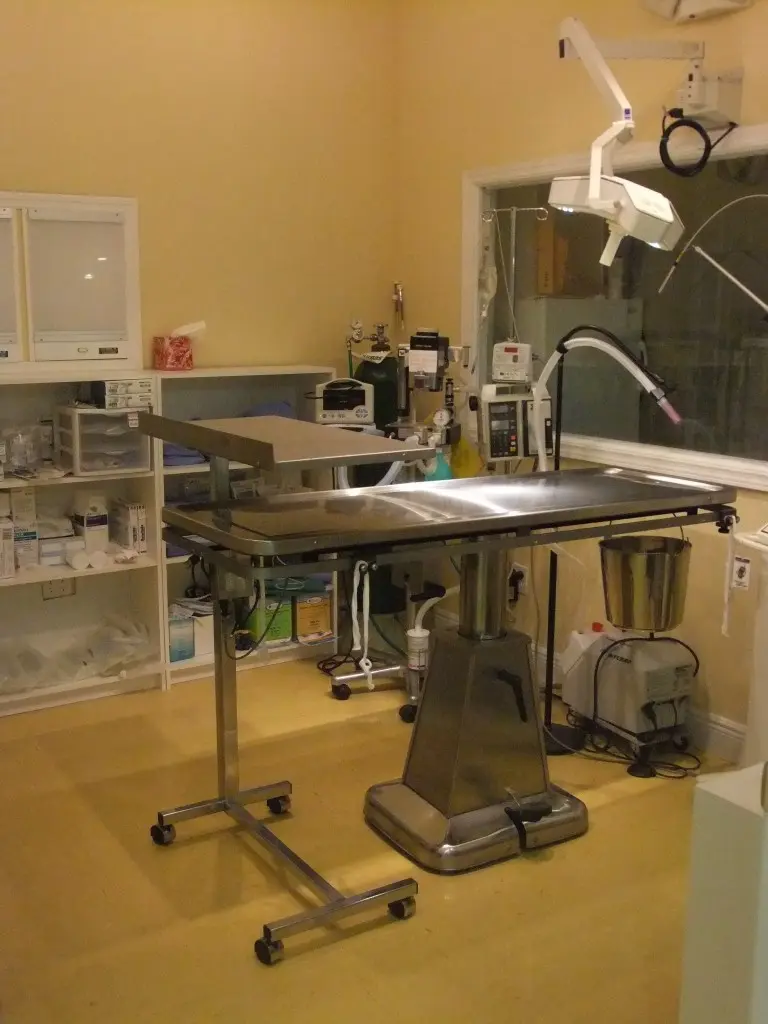 A clean treatment room with an examination table, surgical light, and medical supplies showcases Cross Creek Animal Medical Centre facilities.