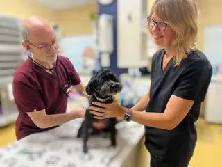 A veterinarian and assistant examine and comfort a small dog during a wellness check at Cross Creek Animal Medical Centre.
