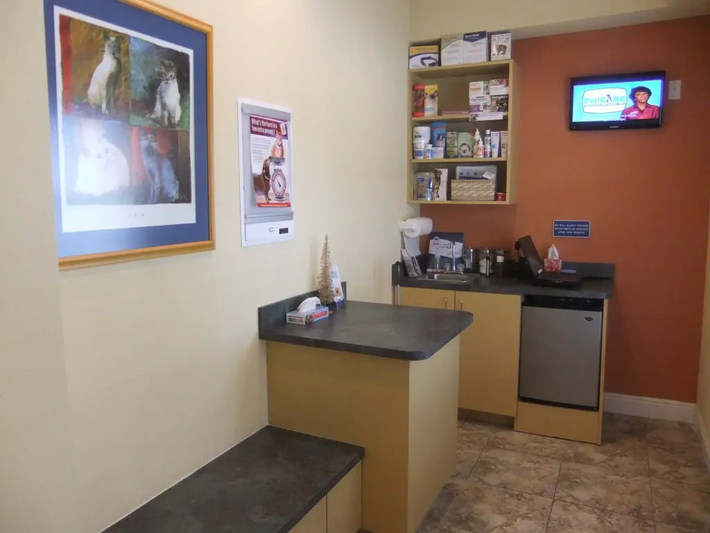 Veterinary exam and prep area featuring wood counters, wall shelving, a mini-fridge, and cat artwork.