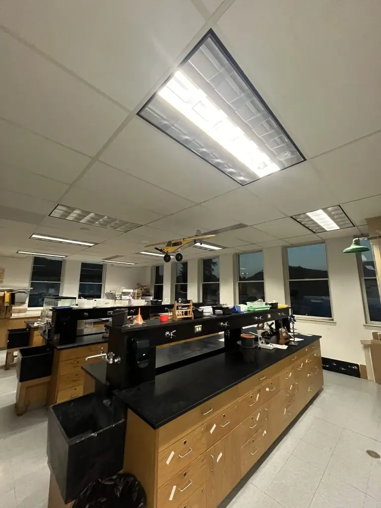 St Regis School Privacy Window Film