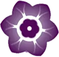ICON 3