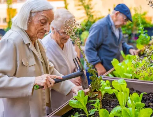 Is Luxury Assisted Living Worth the Cost?