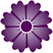 ICON 2