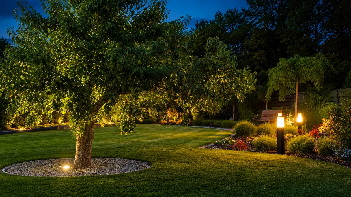 Night garden scene with a pear tree lit from below, casting warm light on green grass and surrounding plants
