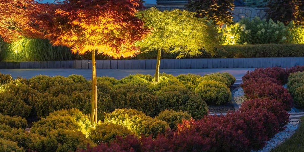 how to illuminate a tree