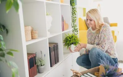 How to Incorporate a Professional Organizer into Your Life