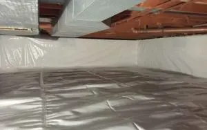 crawlspace after