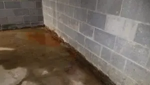 Basement wall with visible water stains and damp floor indicating moisture intrusion and potential foundation issues