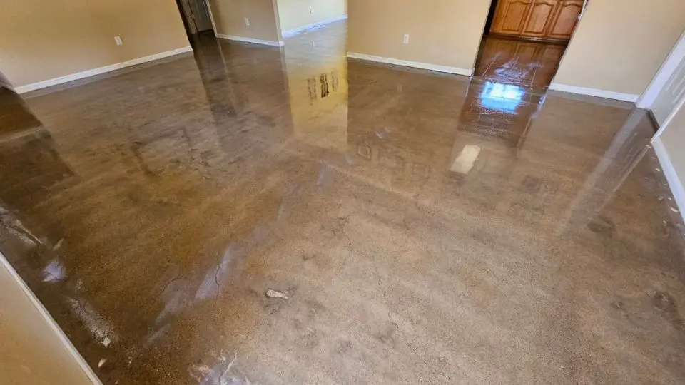 grind and shine concrete polishing