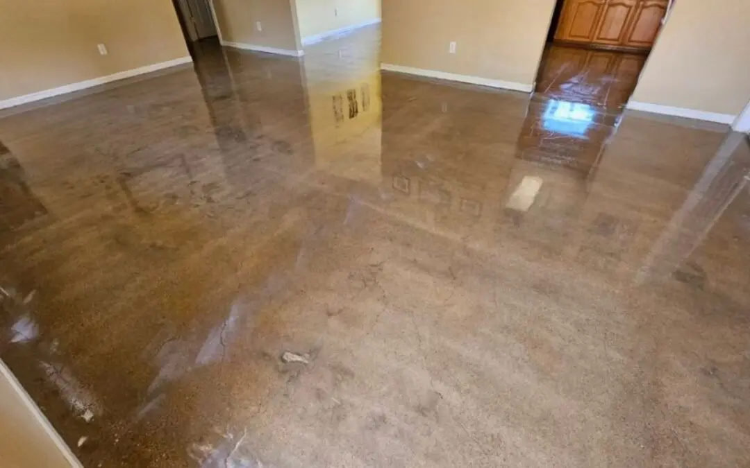 How to Choose a Concrete Floor Color That Works With Your Cabinets and Walls